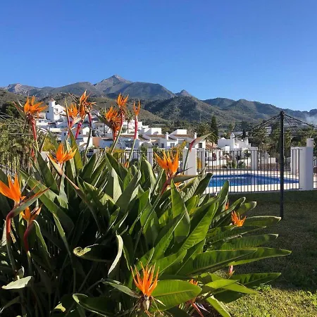 Palmas 17b Oasis *